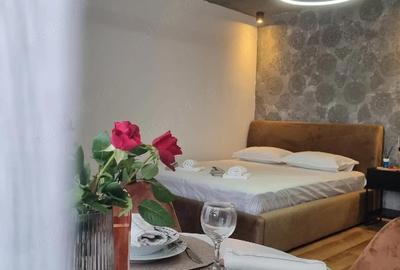 Garsonieră semidecomandată în Central - 3