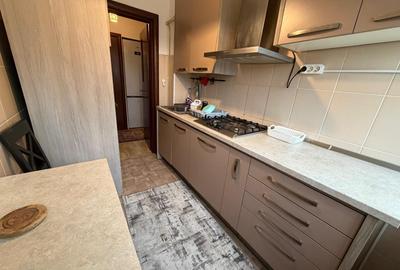 Baba Novac- langa Parc IOR - 8