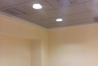 Spațiu comercial, de 1,000 mp, în Armeneasca - 3