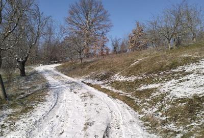 Teren de 5950 mp, în Scorțeni - 6