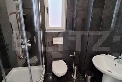 Apartament de inchiriat, cu 2 camere, zona Cartierul Visoianu - 8
