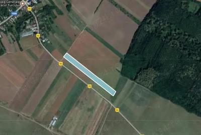 Teren de vanzare in Comuna Balta Doamnei, deschidere 15ml, 6569mp, 78.828euro - 1
