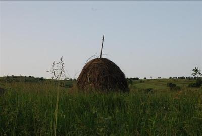 Casa de vanzare in Uileacul de Beius  gospodarie traditionala, zona pitoreasca - 12