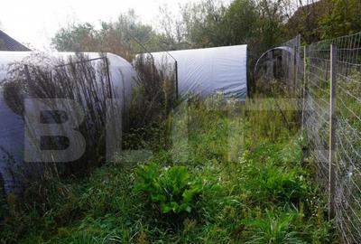 Casa 140 mp, cu teren 3.800 mp, Tatara?ti - 4