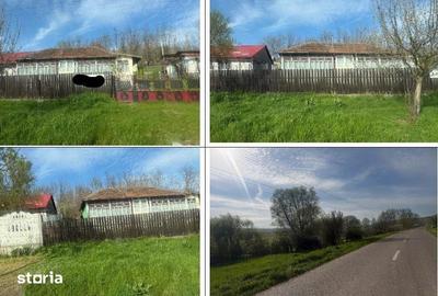 Casă cu 3 camere cu Teren 3633 Mp în Delești - 7