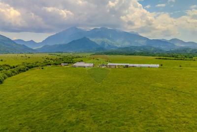 Teren de 10800 mp, în Râșnov - 3