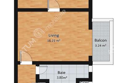 Apartament cu 2 camere, mobilat în Calea Dumbrăvii - 12