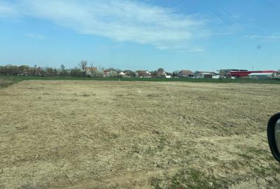 Spațiu comercial, în Sânmihaiu Român - 7