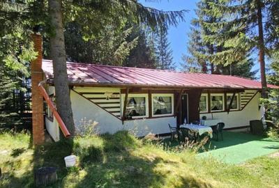 Casa de vacanta, 3 camere, teren 838 mp, 110 mp, Marisel - 1