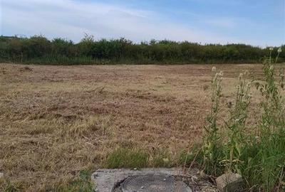 RECO Teren intravilan, Paleu - 2