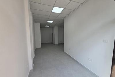 Spa?iu langa Hanul Haiducilor Spa?iu langa Hanul Haiducilor - 3