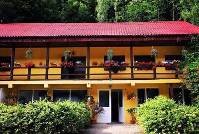 Teren pentru investitii 11.000 mp - 39