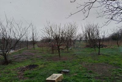 Casă cu 5 camere în Racovița - 19