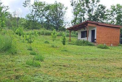 PF vand teren 1200mp cu casa intabulate,18km de Cluj, intravilan CF, cadastru, Micesti com.Tureni - 1