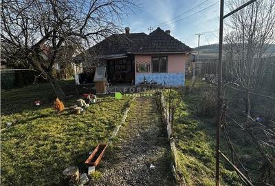 Casă cu 3 camere cu Teren 1000 Mp în Central - 9