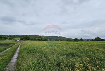 Teren 1,495mp Dobreni / Strada Parau Almas - 16