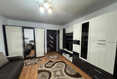 Garsoniera de inchiriat, 32mp, Brazda lui Novac - 1