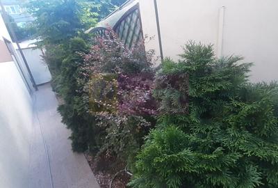 Casa perfectă în București - 6