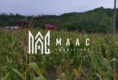 Teren extravilan 1.440 mp I Ladesti -Valcea - 3