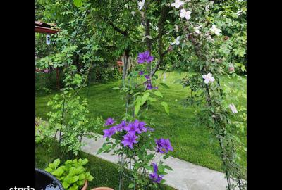 Casă cu 7 camere cu Teren 563 Mp în Exterior Vest - 4