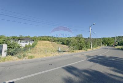 Teren 2.077mp compus din 4 parcele/intravilan/Str.Podgoria Oradea - 2