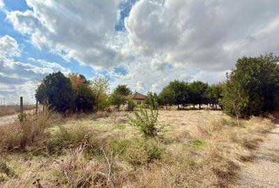 Ferma in Medgidia, zona Tortomanu - 8
