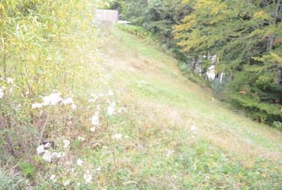 Busteni-Teren cu panorama superba de vanzare - 8