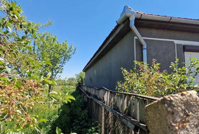 Casă cu 4 camere în Homorog - 2