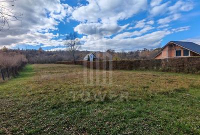 Teren de vanzare în reprezentare exclusivă, situat pe Valea Avrigului! - 1