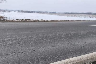 Teren de 6000 mp, în Horodnic - 2