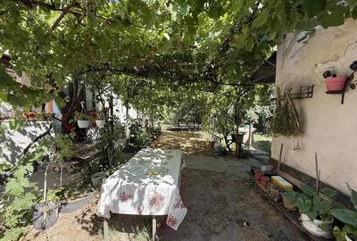 Casa veche cu teren de 2585 m - Biharia Casa veche cu teren de 2585 m - Biharia - 4