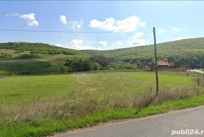 Teren de 2000 mp, în Sălicea
