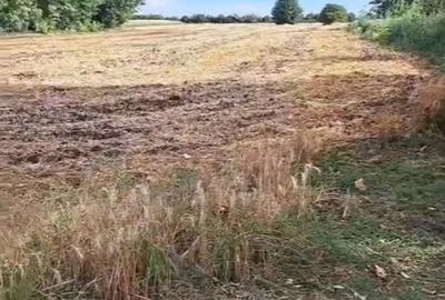 Teren de 1700 mp, în Livedea - 1