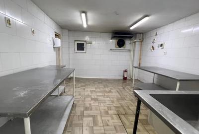 Delfinariu , spatiu comercial, 146 mp, intrare din strada. - 9