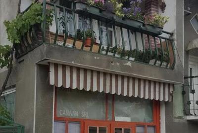 Casa cu spatiu comercial - 1