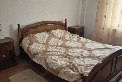 Casă cu 6 camere cu Teren 5000 Mp în Prahuda - 3