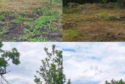 Casă cu 3 camere în Icland