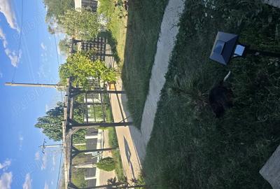 Casă cu 3 camere cu Teren 2450 Mp în Izvoarele - 3