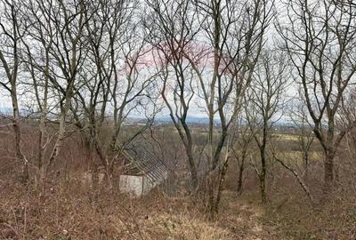 Teren în Central - 12