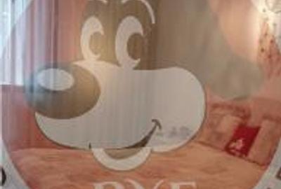 Pantelimon | 2 camere | 66mp | B12049 - 2