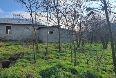 Casă individuală cu 4 camere cu Teren 1634 Mp în Vasile Alecsandri - 1