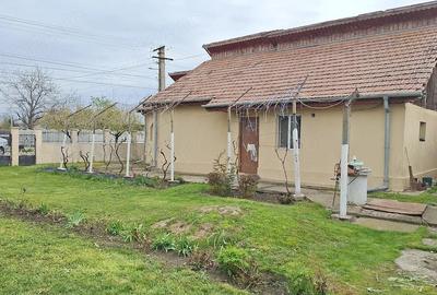 Casă cu 3 camere în Stâlpu - 14