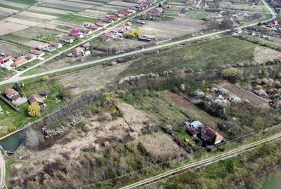 Teren intravilan Balint 22.500 mp - 5