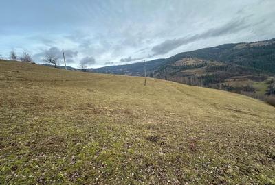 Spațiu comercial, în Albac - 1