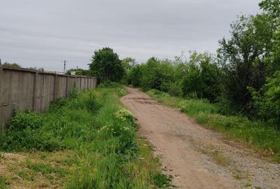Casă + teren 4200 mp, vie, curent, fosa, anexă – Crevedia Mare, Giurgiu - 10