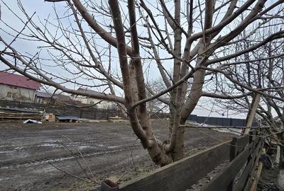 Spațiu comercial, în Holboca - 1