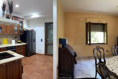 Proprietate deosebită, șos. Cernica (în apropierea mănăstirii Cernica) - 3