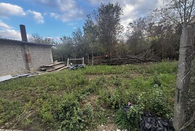 Spațiu comercial, în Central - 2