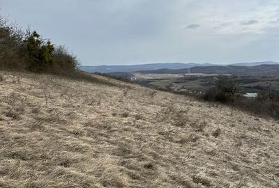 Teren de 5900 mp, în Central - 3