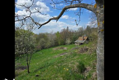 Teren de 3000 mp, în Certeju de Sus - 13